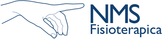 NMS Logo